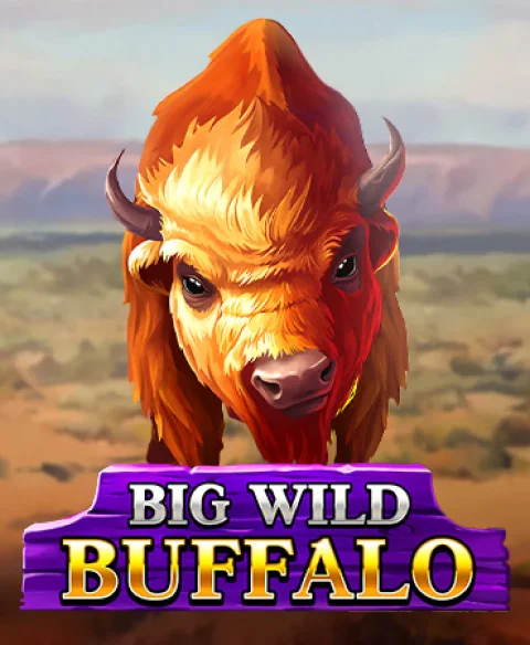 Play Big Wild Buffalo at Slot Ilda World Casino